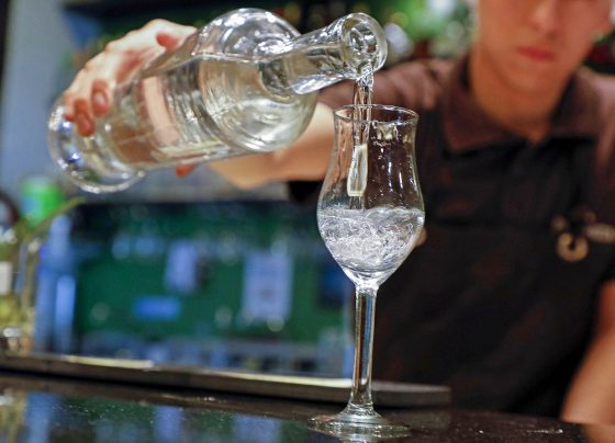 Mincetur incentiva a empresas pisqueras de Ica rumbo a la exportación