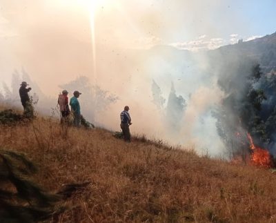 Lanzan campaña de donación para salvar la biodiversidad de la Amazonía tras incendios forestales