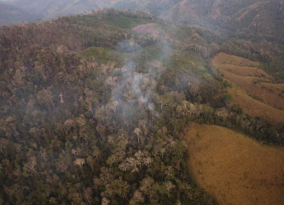 Yape lanza campaña para víctimas de incendios forestales