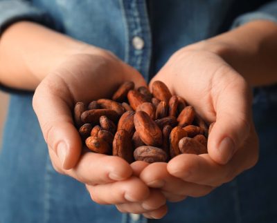 Perú apunta a ser el quinto productor mundial de cacao