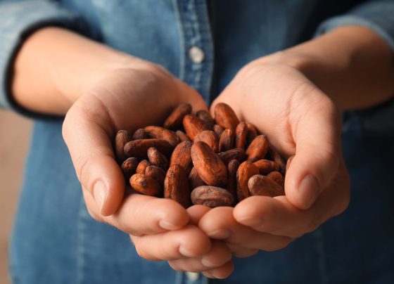 Perú apunta a ser el quinto productor mundial de cacao