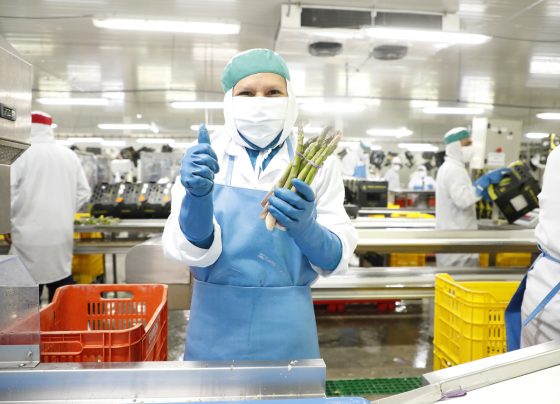 Empleos asociados a las exportaciones crecieron 10.5 %