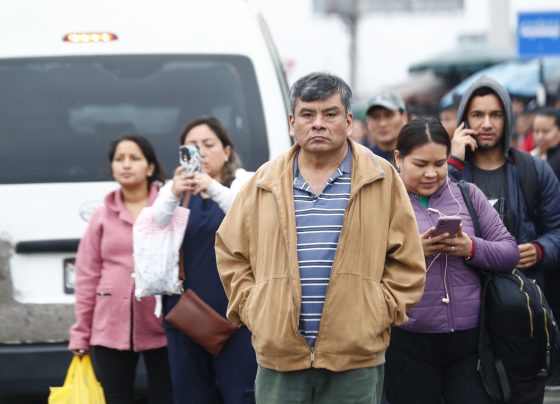 Efectos de la inseguridad y paros en la economía