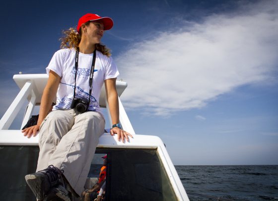 Primer fin de semana largo de noviembre generaría un impacto económico de US$ 140 millones