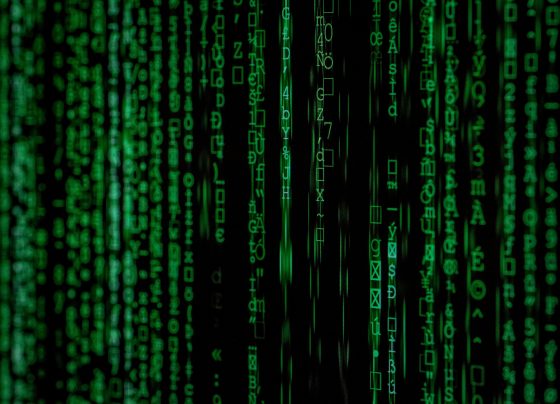 ¿Cómo deben actuar las empresas ante un incidente de seguridad de datos personales?