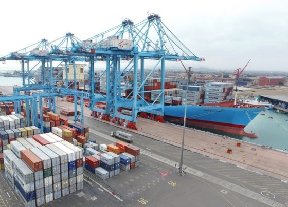 Construcción de 12 nuevos silos de granos tiene avance de más del 40 %