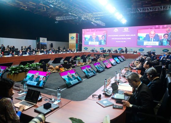 Logros sectoriales en APEC 2024