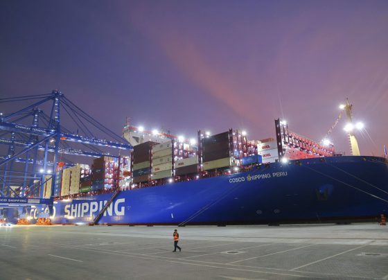 Megapuerto de Chancay: ¿cuáles serán las carreras con mayor demanda?