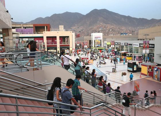 Claves que definirán al consumidor peruano del 2025