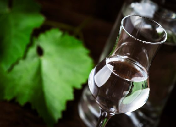 Principales destinos del pisco