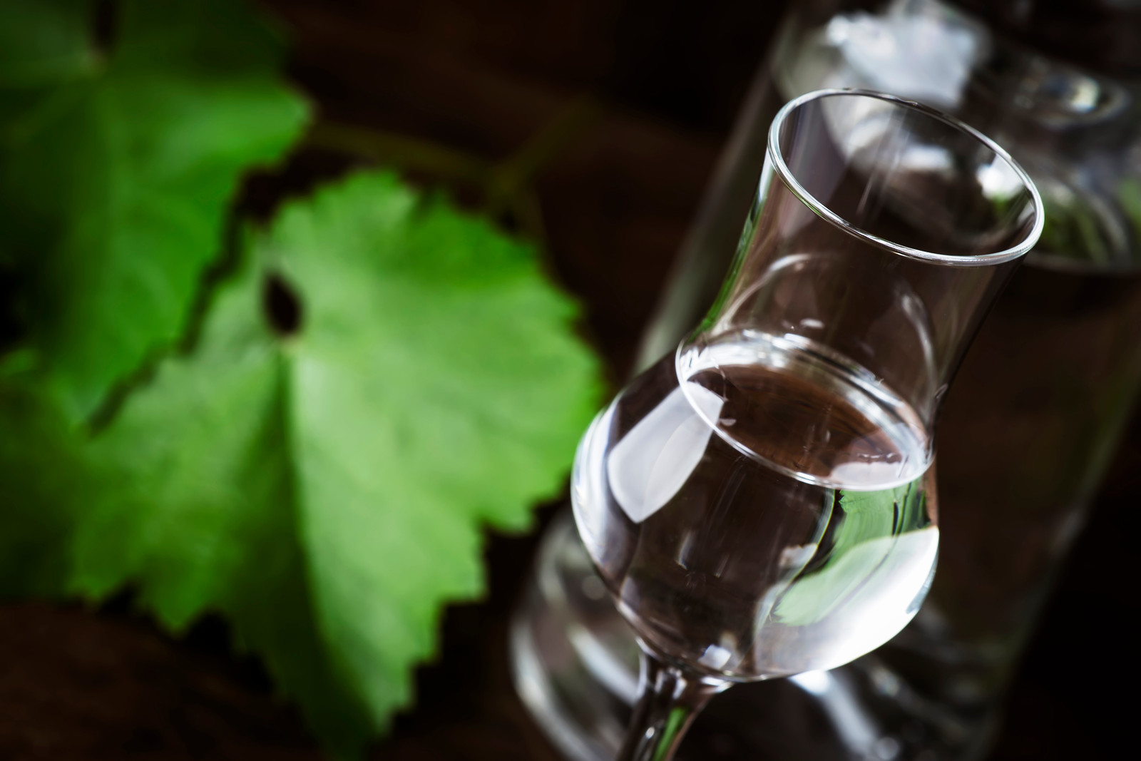 Principales destinos del pisco