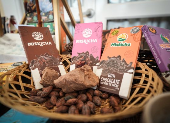 Exportaciones de cacao superaron los US$ 1000 millones en el 2024
