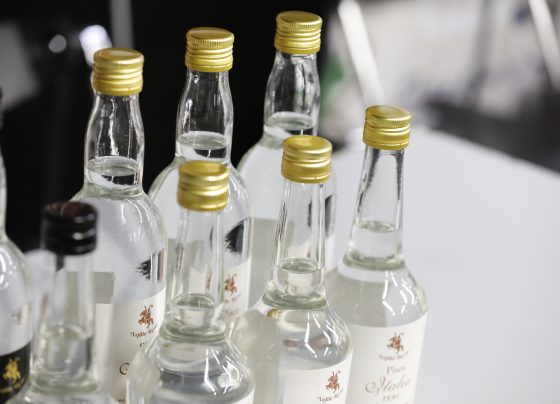 Exportaciones de Pisco alcanzaron los US$ 8.5 millones en 2024
