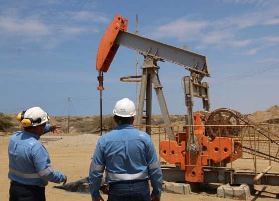 Se estiman inversiones para incrementar producción petrolera