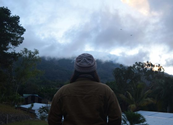 El 50% de los mensajes en X sobre feminismo son negativos