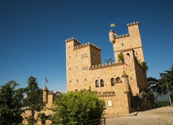 Operadores de turismo prevén visita de 3.6 millones de turistas extranjeros