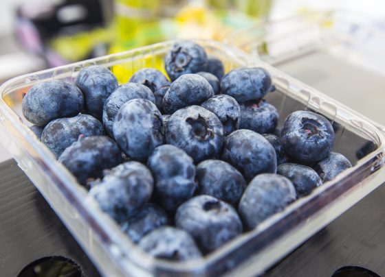 Los cinco productos que superarán los US$ 1,000 millones en agroexportación este 2025