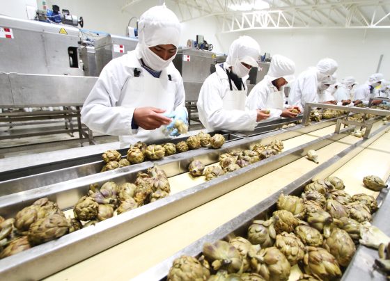 EE.UU. impone arancel del 10% a productos peruanos