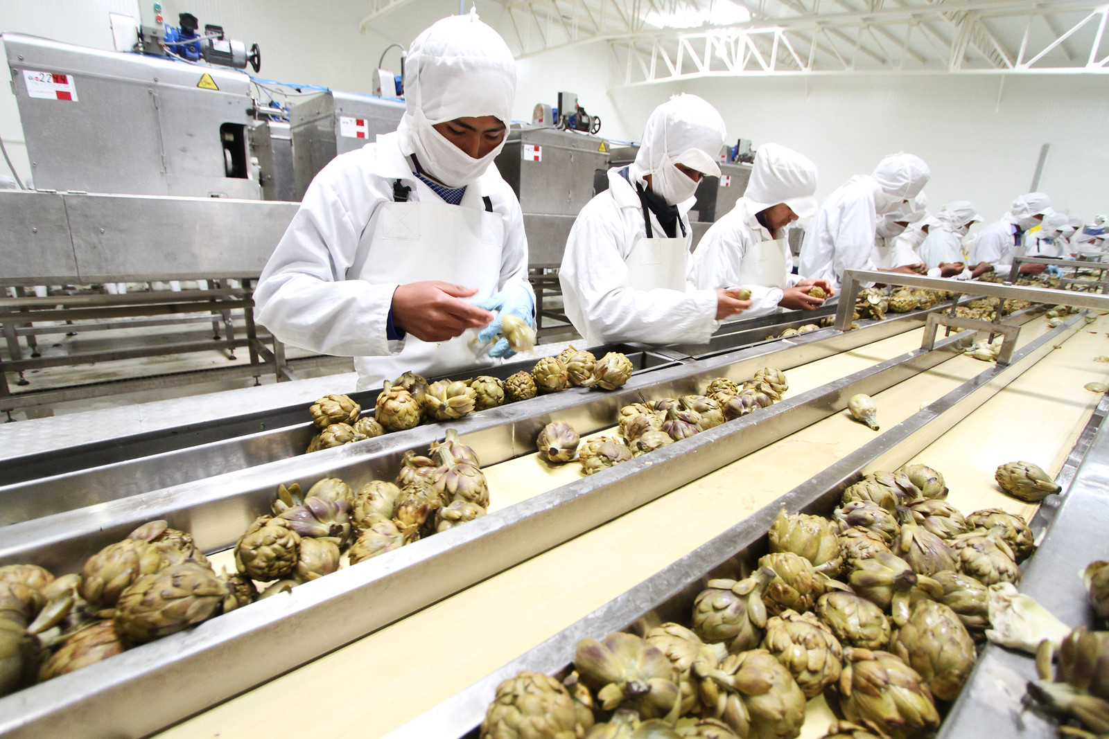 EE.UU. impone arancel del 10% a productos peruanos