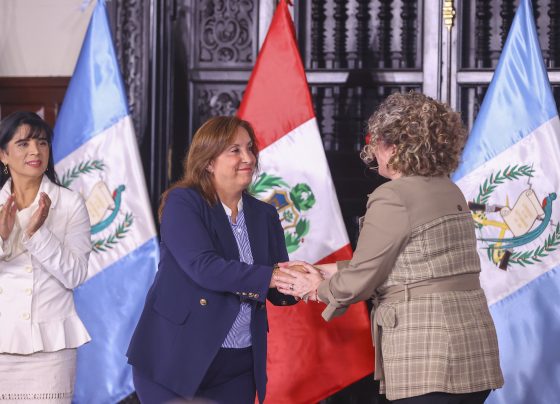 TLC con Guatemala beneficiará a pequeñas empresas y potenciará nuestra agroexportación