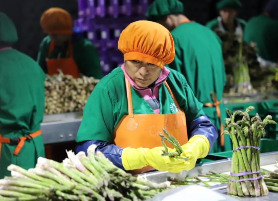 Exportaciones regionales del Perú crecen 28,6%