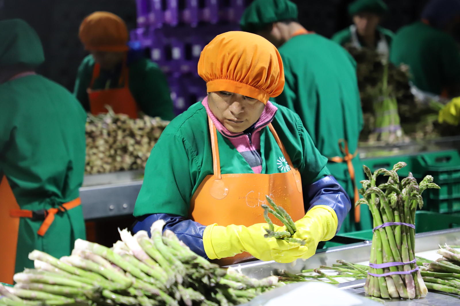Exportaciones regionales del Perú crecen 28,6%