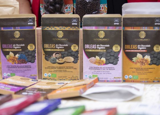 Exportaciones de cacao y derivados se incrementaron en 129% en primer trimestre del 2025