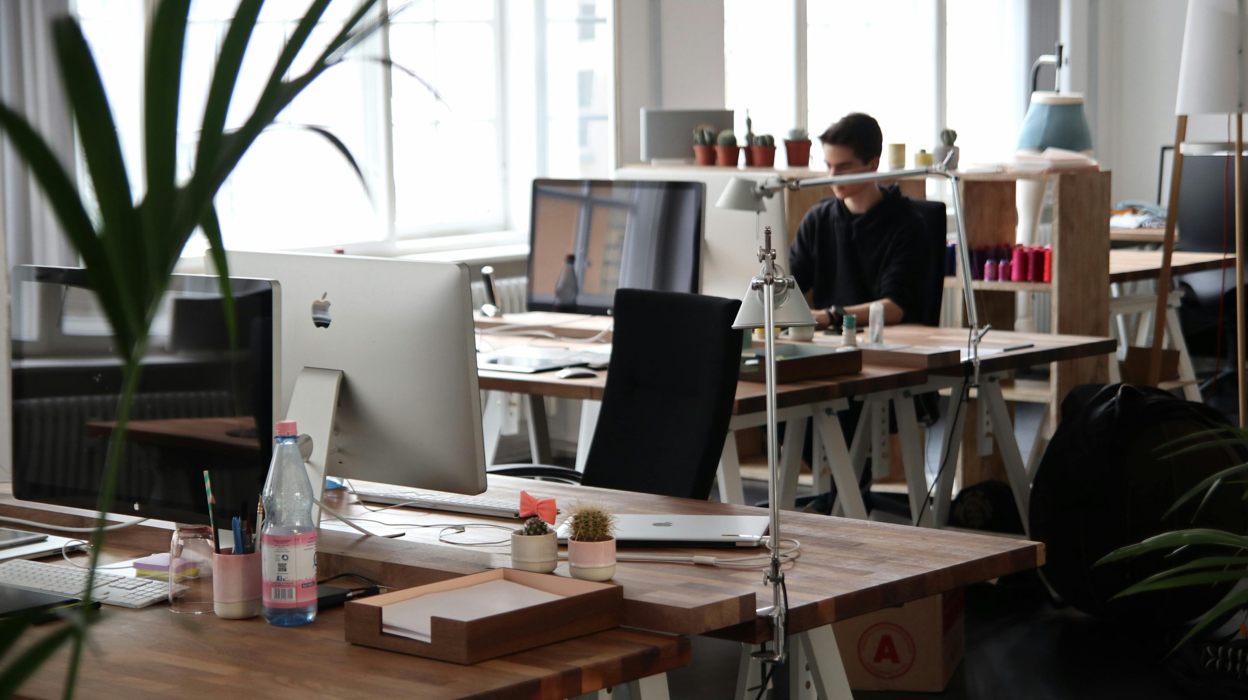 Emprendedores reconocen que necesitan capacitarse