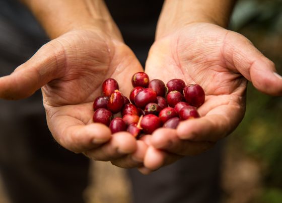 Exportaciones peruanas crecieron 10 veces del 2001 al 2024