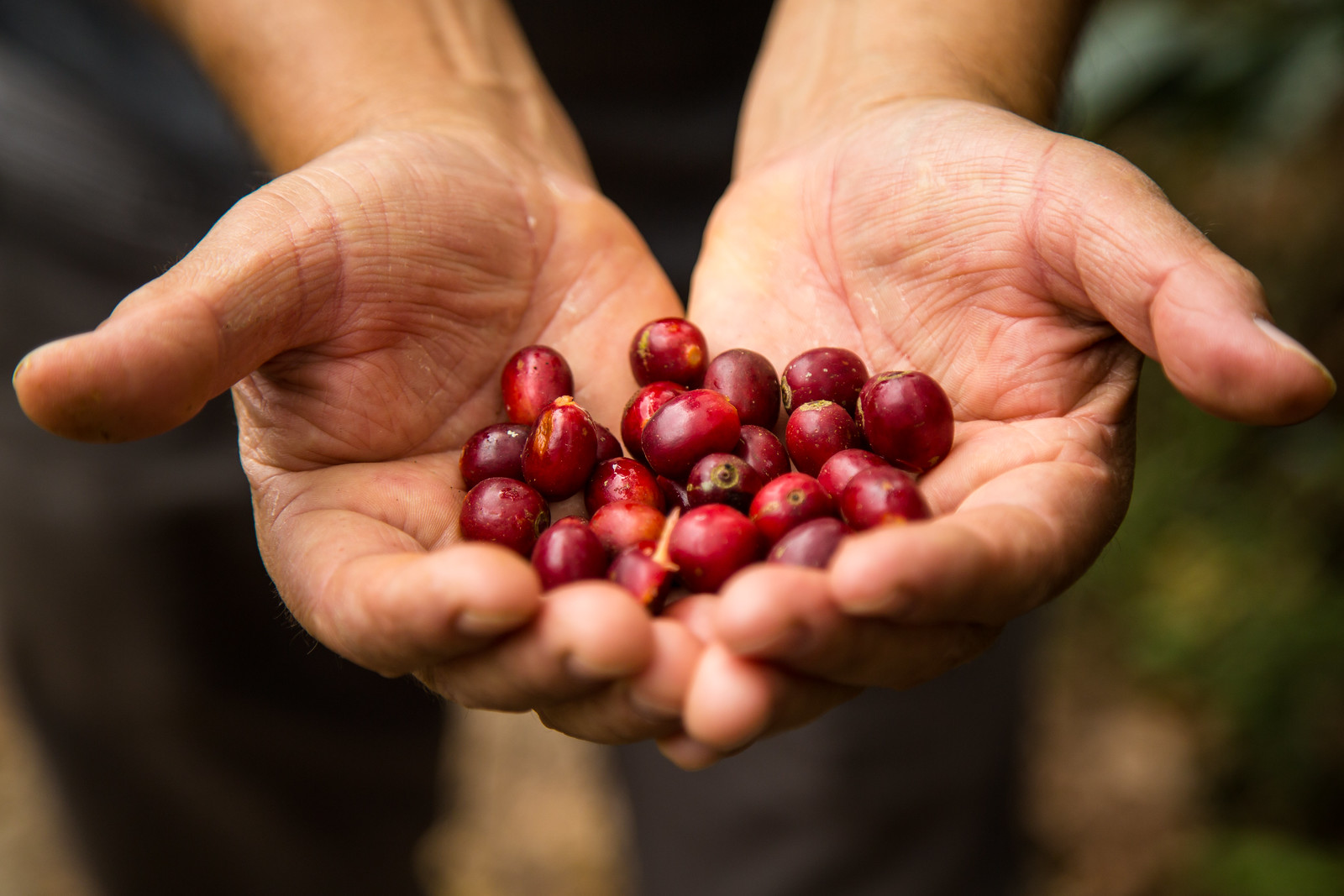 Exportaciones peruanas crecieron 10 veces del 2001 al 2024