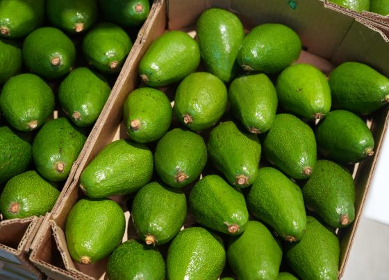 Agroexportaciones peruanas alcanzarían récord histórico de US$ 15,000 millones el 2025