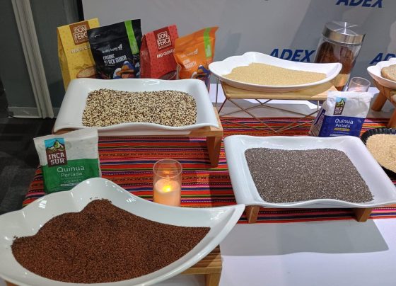 Exportación de granos andinos aumenta: los principales destinos en el exterior