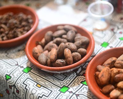 Perú es el octavo exportador mundial de cacao en grano