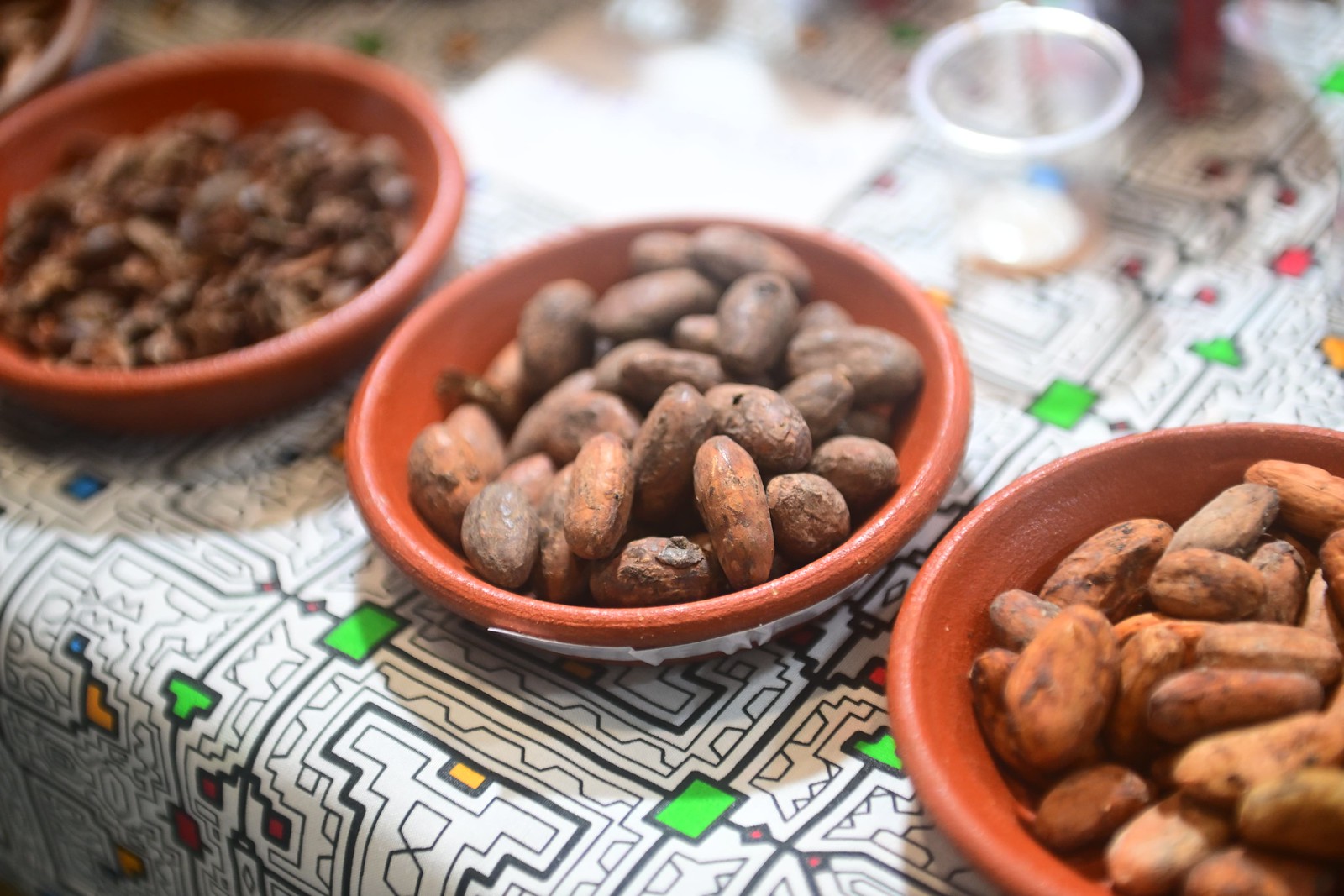 Perú es el octavo exportador mundial de cacao en grano