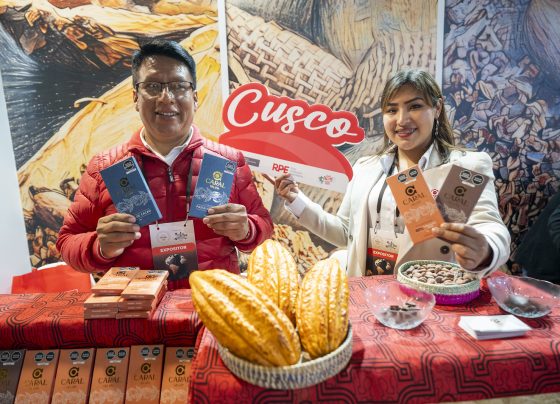 Exportaciones peruanas de cacao superaron los US$ 530 millones entre enero y mayo del 2025
