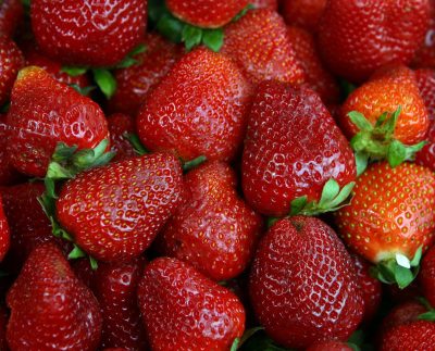 Perú apunta a convertirse en el 4° proveedor mundial de fresas congeladas