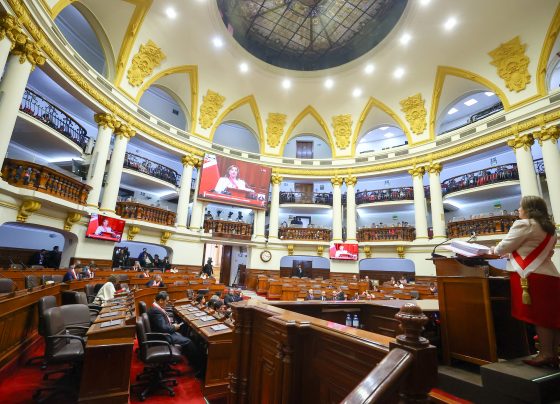 Los principales anuncios económicos de Dina Boluarte en su mensaje por Fiestas Patrias
