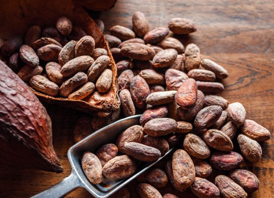Café, cacao y los otros productos que lideraron las intenciones de compra en Rueda de Negocios en San Martín