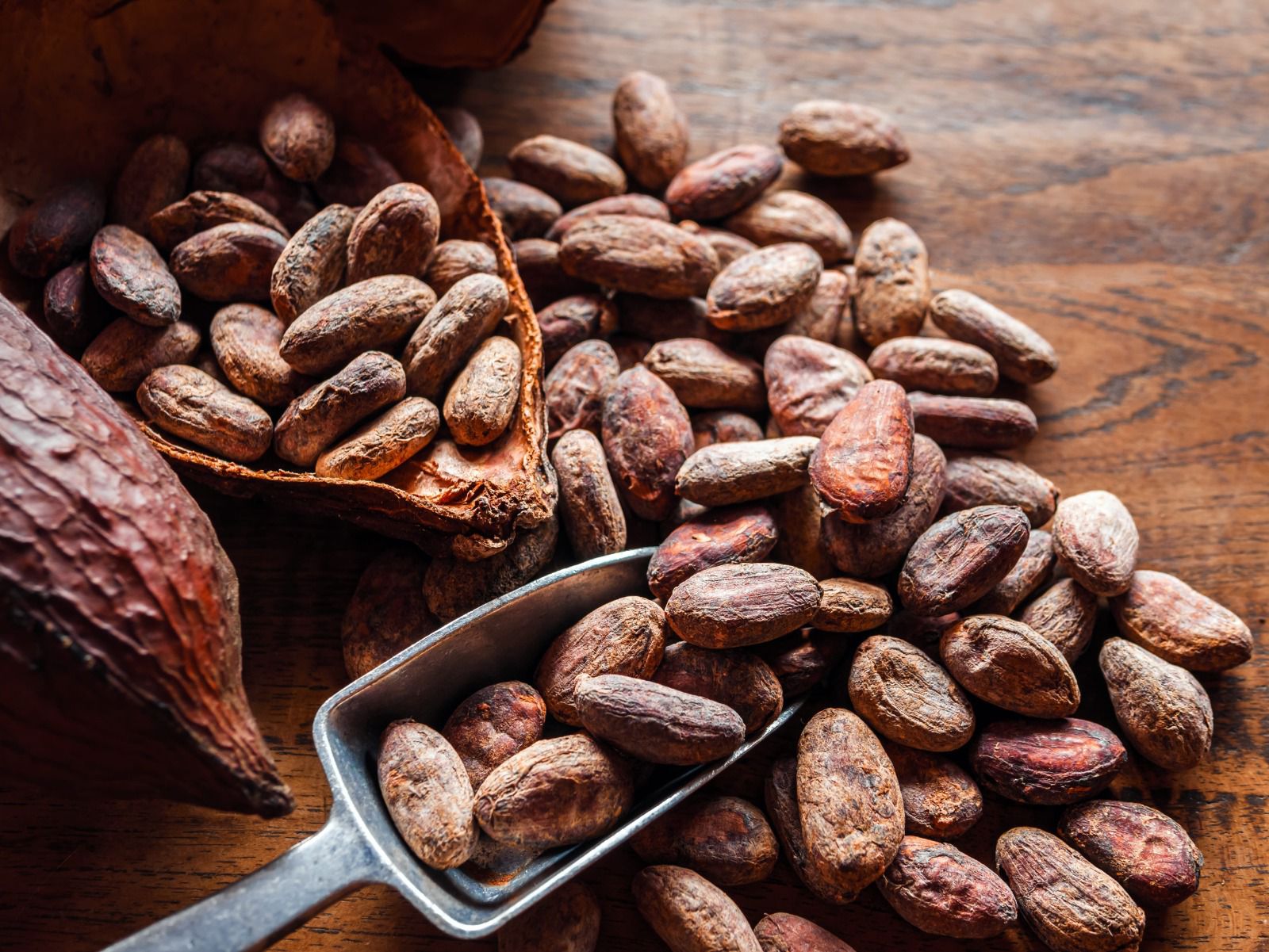 Café, cacao y los otros productos que lideraron las intenciones de compra en Rueda de Negocios en San Martín