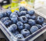 Japón se perfila como un destino atractivo para los arándanos peruanos