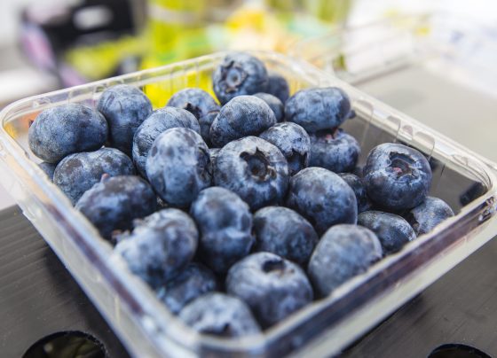 Japón se perfila como un destino atractivo para los arándanos peruanos