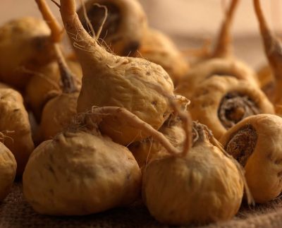 Argentina incluye a la maca en su Código Alimentario