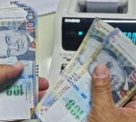 Todo sobre la gratificación