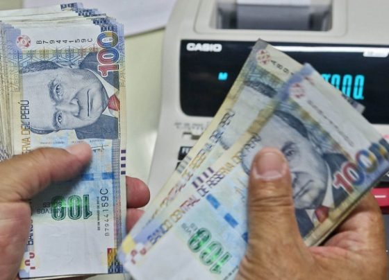 Todo sobre la gratificación