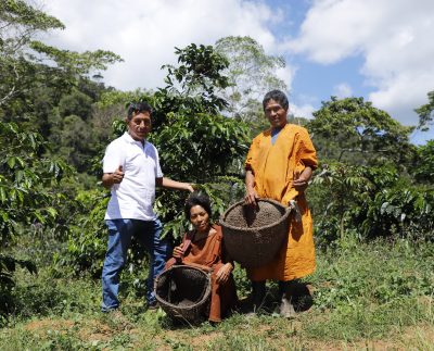 Siete regiones alcanzaron niveles históricos de exportaciones