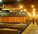 Cobre, oro, plata y zinc lideran el crecimiento de las exportaciones mineras en 2025