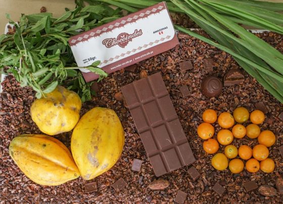 Demanda internacional de chocolate peruano mantiene tendencia positiva y crece 12%