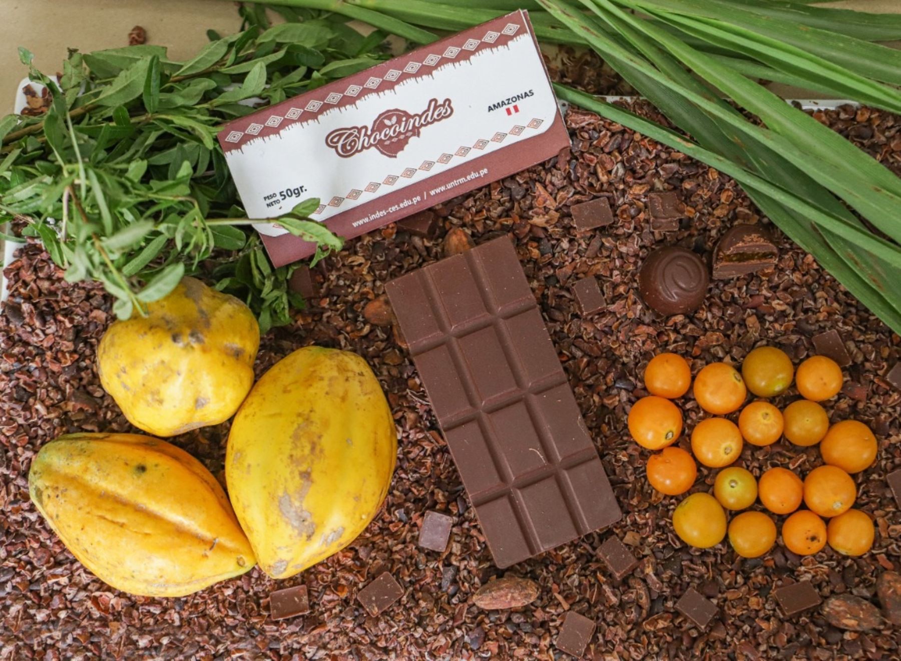 Demanda internacional de chocolate peruano mantiene tendencia positiva y crece 12%