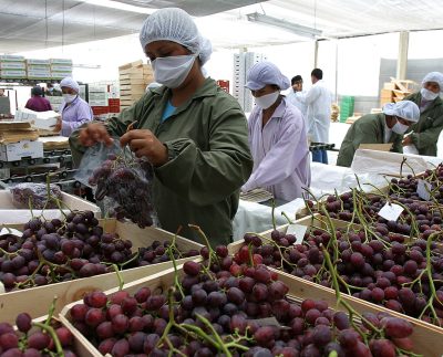 Exportaciones regionales superan los US$ 68 mil millones y duplican el crecimiento de Lima y Callao