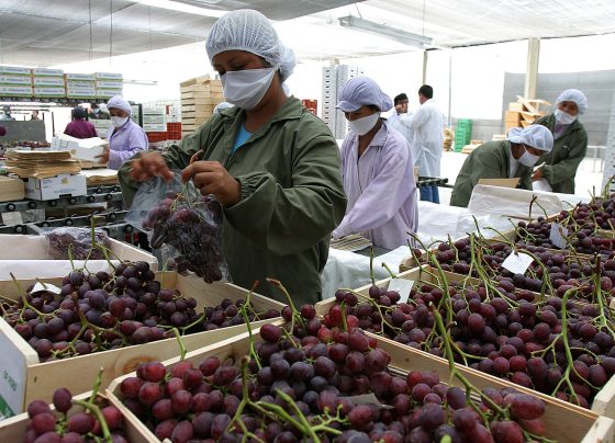 Exportaciones regionales superan los US$ 68 mil millones y duplican el crecimiento de Lima y Callao
